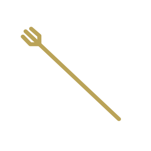 SN FOOD LAB