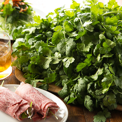 オリエンタル酒場JILI